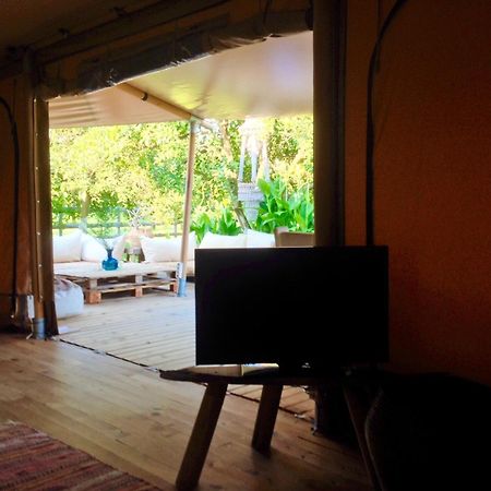 فندق Campo Portakal Eco Glamping Çıralı الغرفة الصورة
