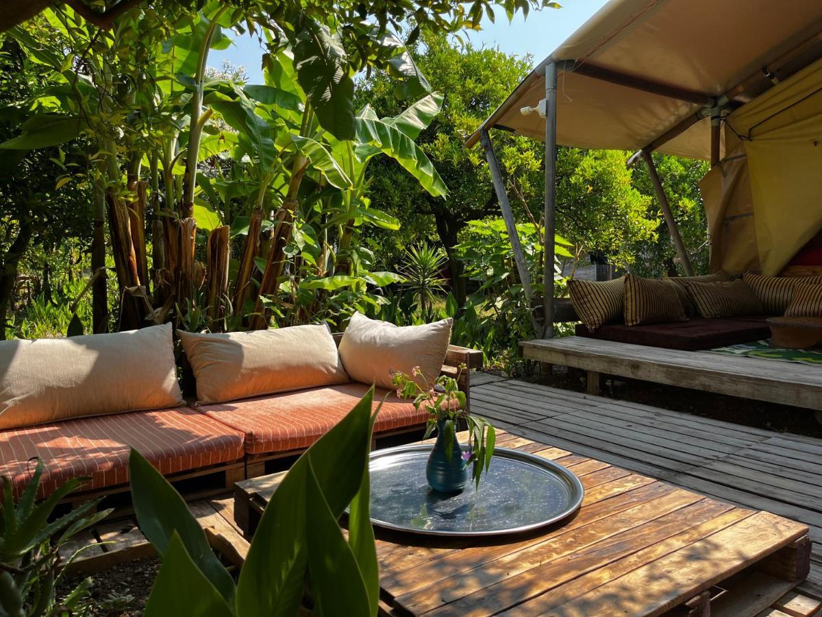 فندق Campo Portakal Eco Glamping Çıralı المظهر الخارجي الصورة