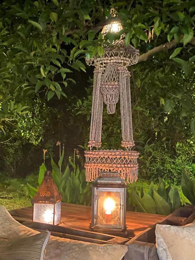 فندق Campo Portakal Eco Glamping Çıralı المظهر الخارجي الصورة