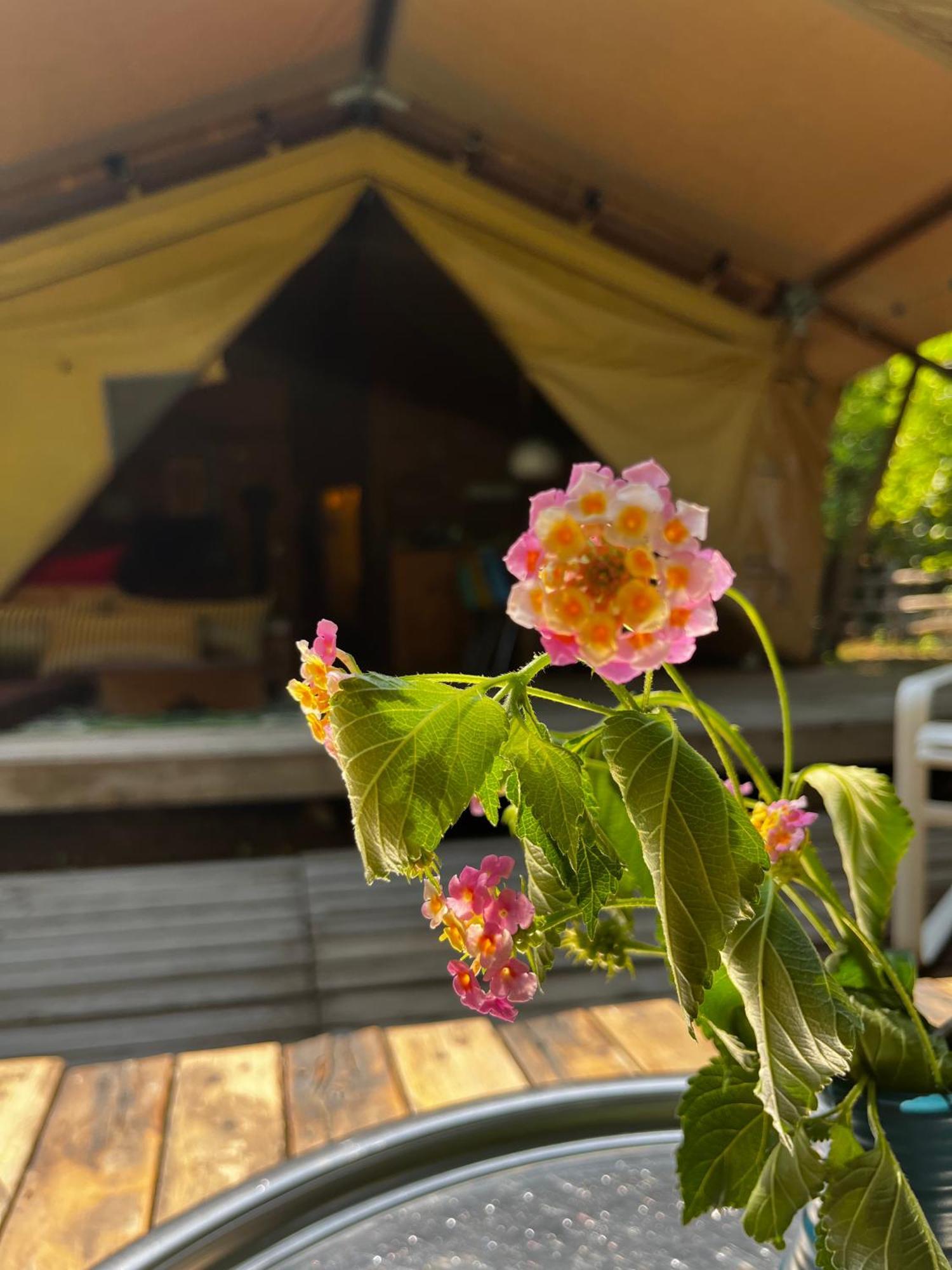 فندق Campo Portakal Eco Glamping Çıralı الغرفة الصورة