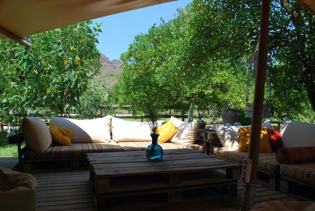 فندق Campo Portakal Eco Glamping Çıralı المظهر الخارجي الصورة