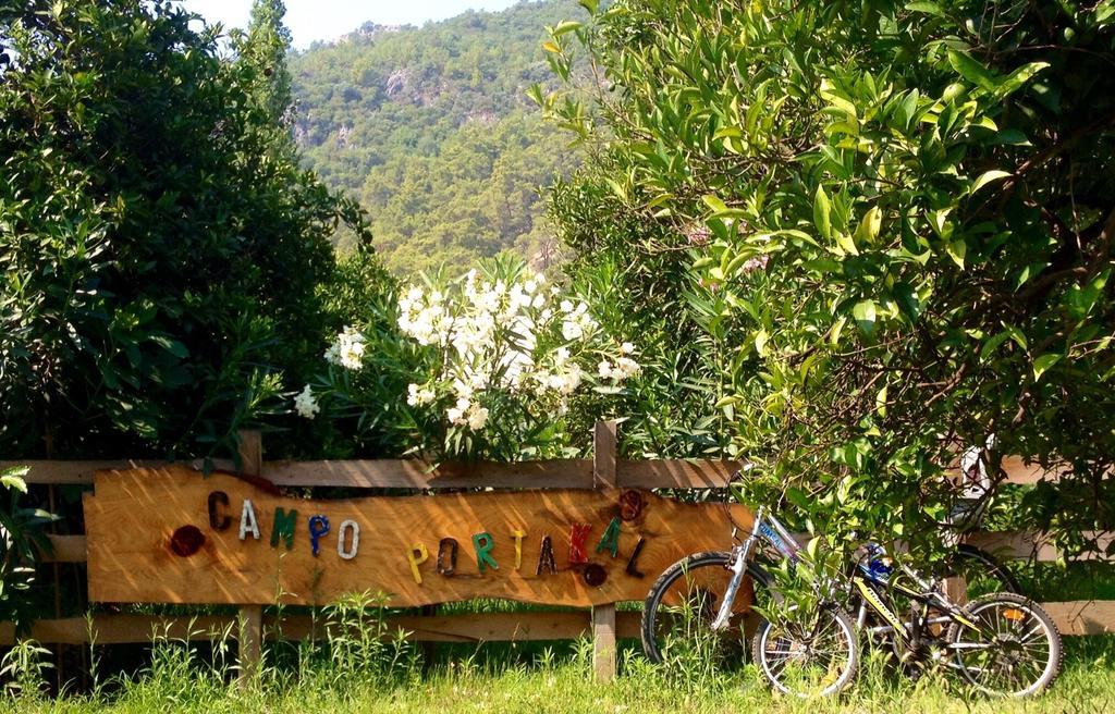 فندق Campo Portakal Eco Glamping Çıralı المظهر الخارجي الصورة